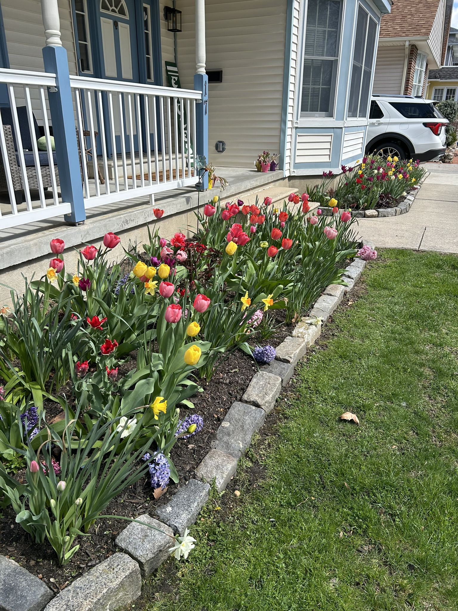 Even Stevens garden bed work