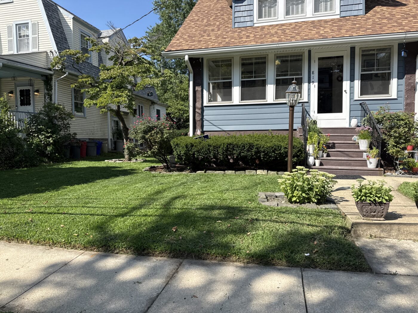NJ neighborhood lawn