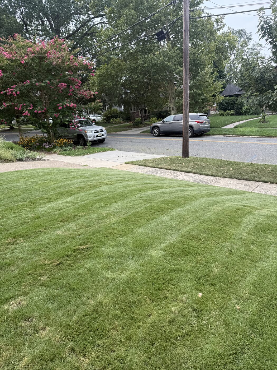 Mowed lawn with stripes