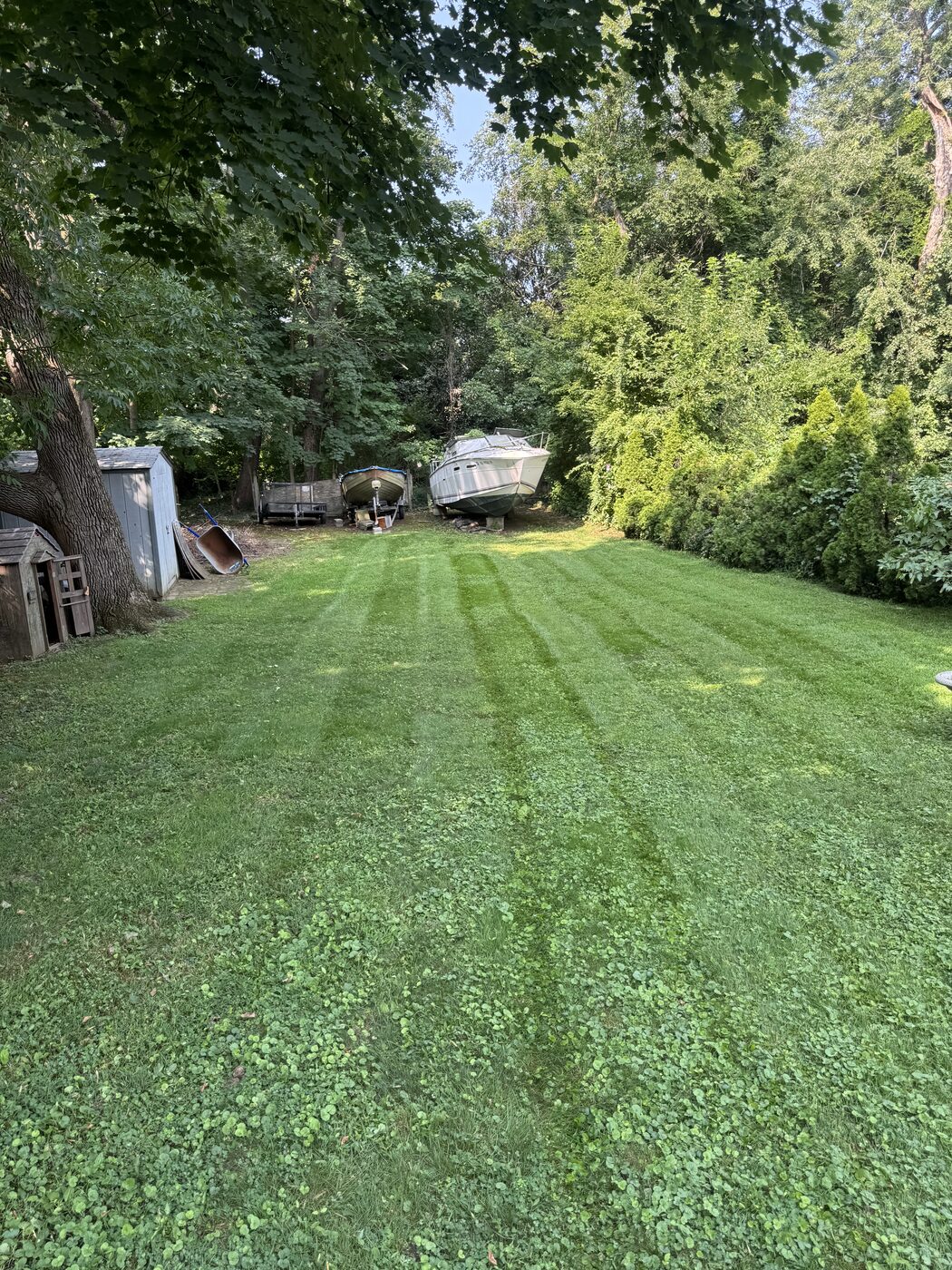 Cleaned-up backyard